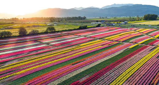 1173921 (a): :2560x1367